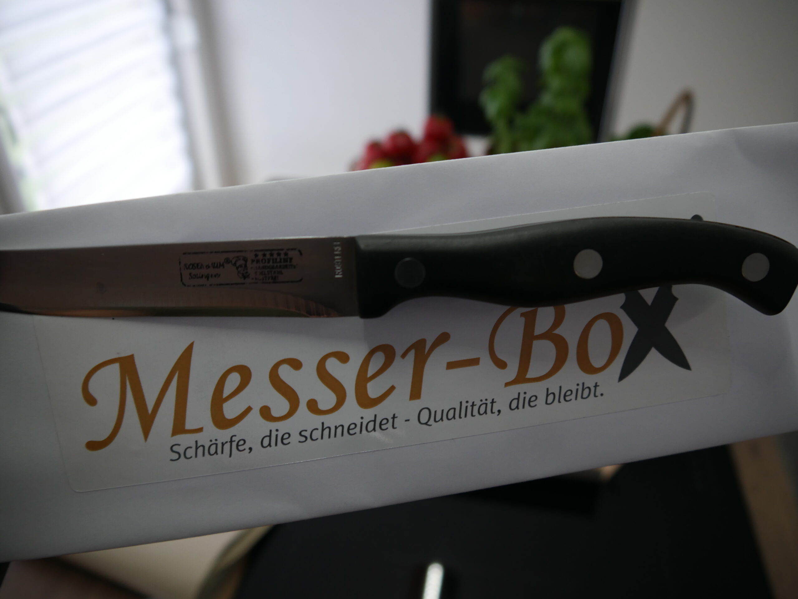 Messerbox Anleitung 8