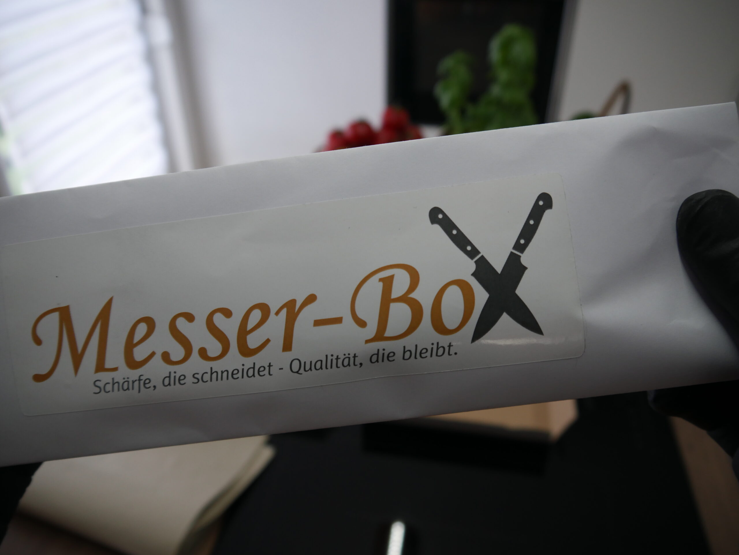 Messerbox Anleitung 9